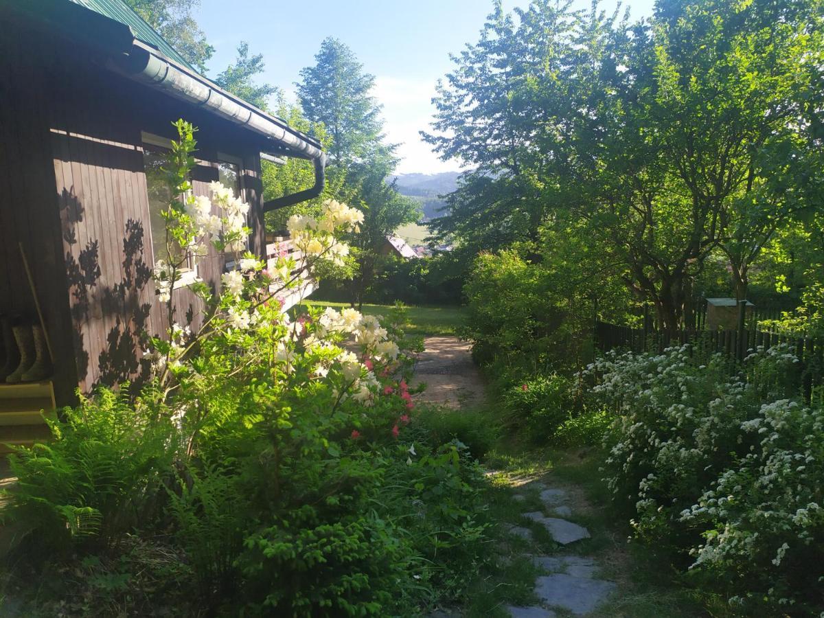 Chata Na Poskle U Lesa S Vyhledem Hutisko Экстерьер фото